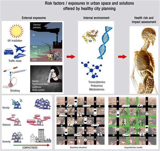 Heart healthy cities: genetics loads the gun but the environment pulls the trigger