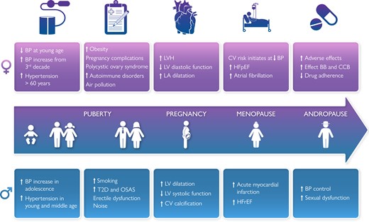 Sex differences in arterial hypertension A scientific statement from the ESC Council on Hypertension, the European Association of Preventive Cardiology, Association of Cardiovascular Nursing and Allied Professions, the ESC Council for Cardiology Practice, and the ESC Working Group on Cardiovascular Pharmacotherapy