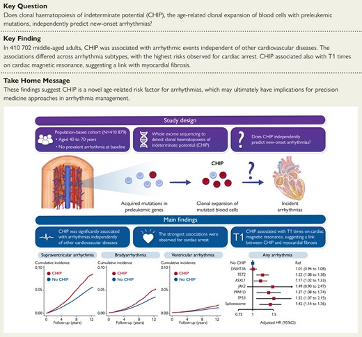 Clonal haematopoiesis of indeterminate potential predicts incident cardiac arrhythmias