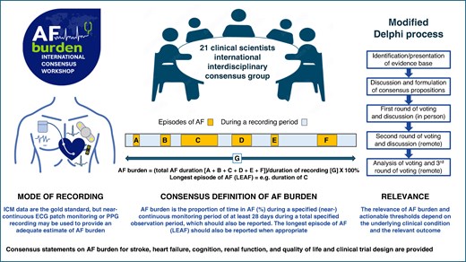 Atrial fibrillation burden in clinical practice, research, and technology development: a clinical consensus statement of the European Society of Cardiology Council on Stroke and the European Heart Rhythm Association