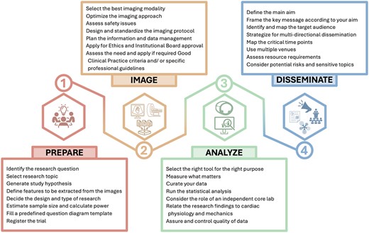 How to conduct clinical research in cardiovascular imaging: a primer for clinical cardiologists and researchers—a statement of the European Association of Cardiovascular Imaging (EACVI) of the ESC