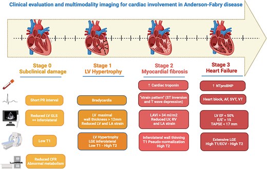 The role of cardiovascular multimodality imaging in the evaluation of Anderson–Fabry disease: from early diagnosis to therapy monitoring A clinical consensus statement of the ESC Working Group on Myocardial and Pericardial Diseases and the European Association of Cardiovascular Imaging of the ESC
