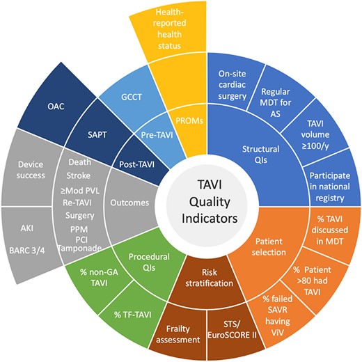 European Society of Cardiology quality indicators for the care and outcomes of adults undergoing transcatheter aortic valve implantation