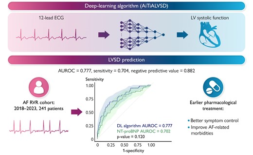Deep learning algorithm for predicting left ventricular systolic dysfunction in atrial fibrillation with rapid ventricular response