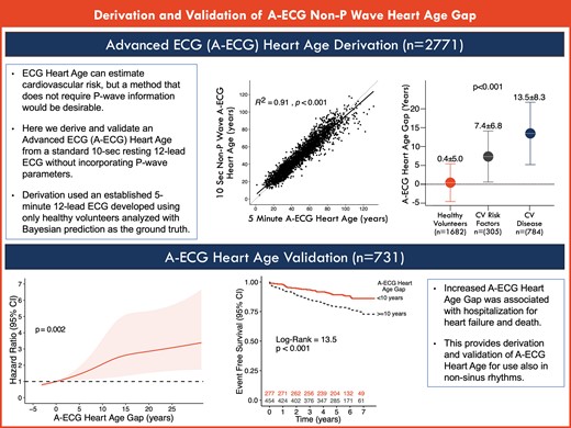Advanced electrocardiography heart age: a prognostic, explainable machine learning approach applicable to sinus and non-sinus rhythms