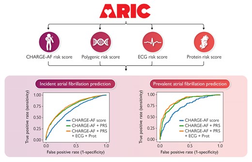 Multimodal data integration to predict atrial fibrillation