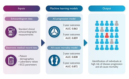 Use of artificial intelligence to predict outcomes in mild aortic valve stenosis